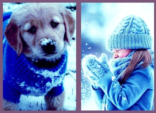 девочка и собака зимой играют