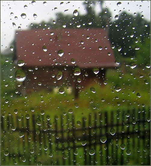 дождь в деревне фото
