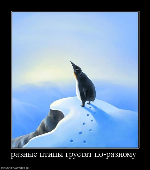 пингвин мотиватор
